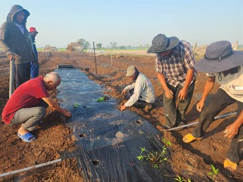 Công ty Cổ Phần Khang Nông